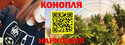сатива Тула